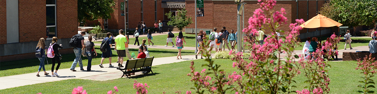 students outside in courtyard