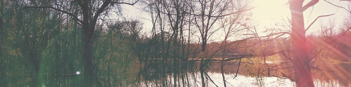 woods with pond and setting son.